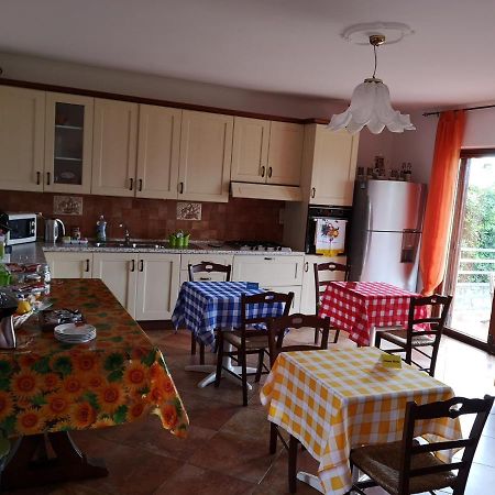 B&B La Torre Belvedere Marittimo Zewnętrze zdjęcie
