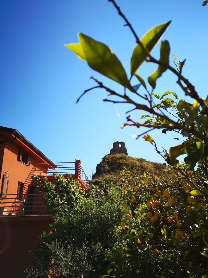 B&B La Torre Belvedere Marittimo Zewnętrze zdjęcie